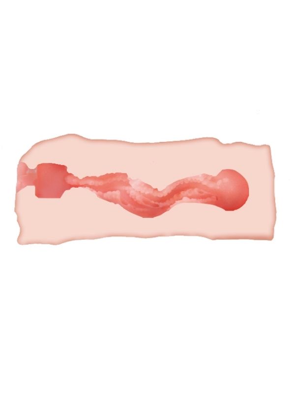 Censan 3D Jane Suni Vajina Masturbatör