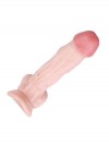 Censan Ten Rengi 20 cm Dildo Model No:1007