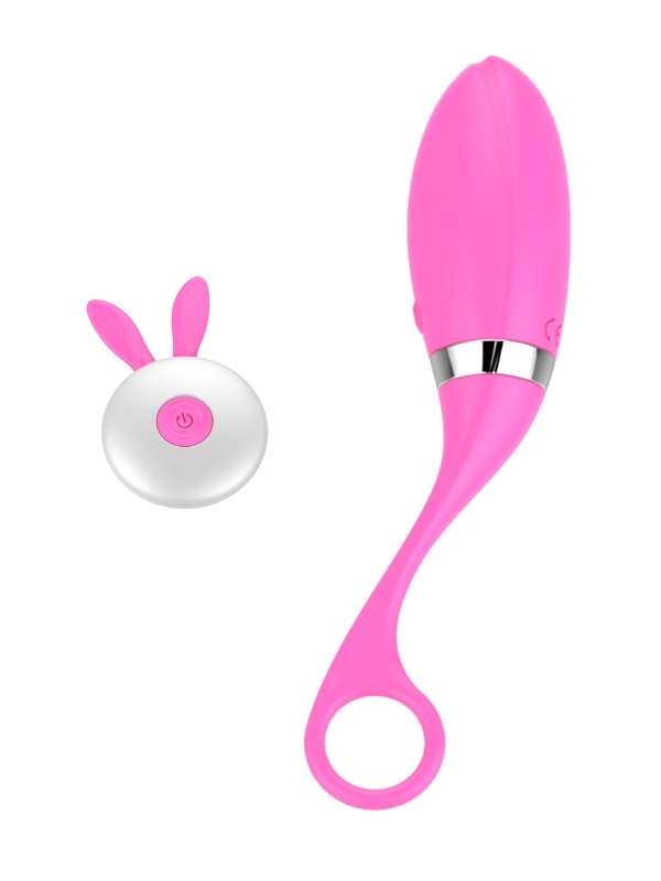 Censan Uzaktan Kumandalı Şarjlı Titreşimli Vibratör