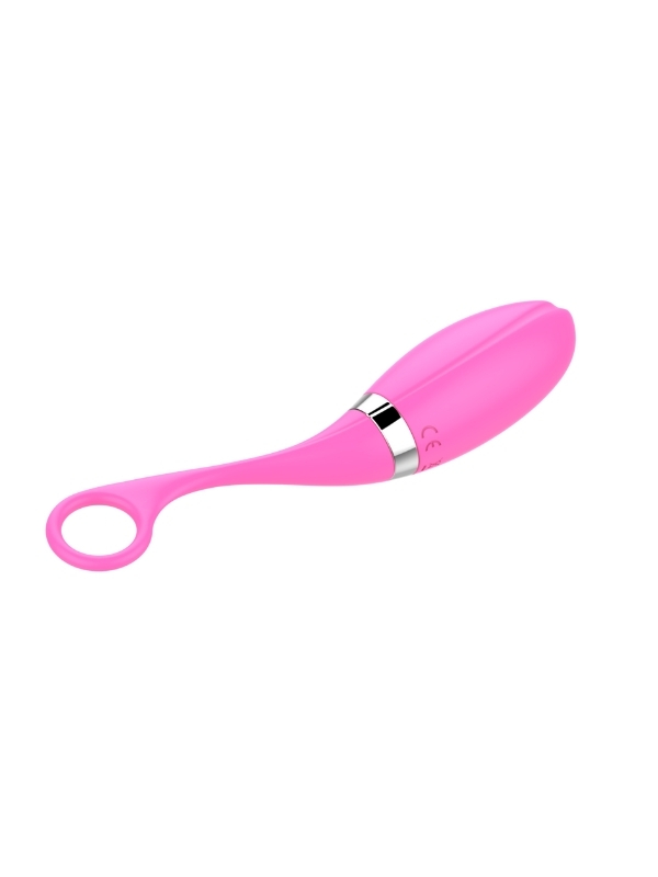 Censan Uzaktan Kumandalı Şarjlı Titreşimli Vibratör